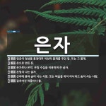 은자 뜻: 임금이 정삼품 통정대부 이상의 품계를 주던 일. 또는 그 품계., 은으로 만든 돈., 은가 [국어 사전]