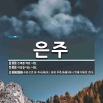 은주 뜻: 은혜를 베푼 사람., 자금을 대는 사람., 수은으로 된 주사(硃沙). 흔히 주묵(朱墨)이나 [국어 사전]