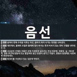 음선 뜻
