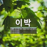 이박 뜻: 엿을 만들 때에, 엿물을 짜내고 남은 밥찌끼., ‘이바지’의 방언, ‘이야기’의 방언 [국어 사전]