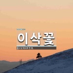 이삭꽃 뜻: 수상 화서로 핀 꽃.
