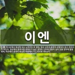 이엔 뜻: 비디오에서 영상에 있는 노이즈의 한 형태. 영상 신호의 윤곽이 선명하지 않고 흐트러져 보인