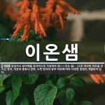 이온샘 뜻: 양성자나 원자핵을 전자력으로 가속하여 양(＋) 또는 음(－)으로 대전된 이온을 만드는 장치