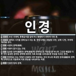 인경 뜻: 조선 시대에, 통행금지를 알리거나 해제하기 위하여 치던 종., 절에서 시각을 정해 놓고 치 [국어 사전]