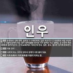 인우 뜻: 운향과의 상록 관목. 높이는 1~2미터이며, 잎은 어긋나고 긴 타원형의 피침 모양이다. 4 [국어 사전]