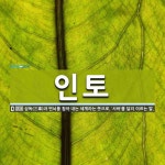 인토 뜻: 삼독(三毒)과 번뇌를 참아 내는 세계라는 뜻으로, ‘사바’를 달리 이르는 말.