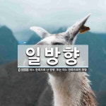 일방향 뜻: 어느 한쪽으로 난 방향. 또는 어느 한쪽으로만 향함.