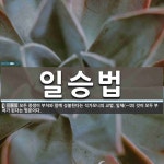 일승법 뜻: 모든 중생이 부처와 함께 성불한다는 석가모니의 교법. 일체(一切) 것이 모두 부처가 된다는