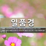 일품경 뜻: 경서를 베껴 쓸 때에, 여러 사람이 일 품씩 나누어 쓰는 일. 또는 그 경서., 법화경 2 [국어 사전]