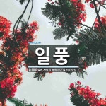 일풍 뜻·의미 | 국어 사전 | 워드로