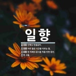 일향 뜻: 언제나 한결같이., 아주 짧은 시간을 이르는 말., 한 차례의... , [국어 사전] 일향 뜻: 언제나 한결같이., 아주 짧은 시간을 이르는 말., 한... 