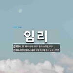 임리 뜻