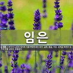임은 뜻: 근로자가 노동의 대가로 사용자에게 받는 보수. 급료, 봉급, 수당, 상여금 따위가 있으며 임은 뜻: 근로자가 노동의 대가로 사용자에게... 