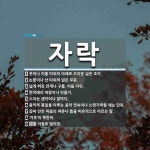자락 뜻: 옷이나 이불 따위의 아래로 드리운 넓은 조각., 논밭이나 산 따위의 넓은 부분., 넓게 퍼 [국어 사전]