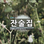 잔술집 뜻: 낱잔으로 술을 파는 집.