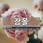 잠몰 뜻