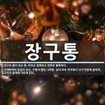 장구통 뜻: 장구의 몸이 되는 통. 허리는 잘록하고 양쪽은 불룩하다., 수레바퀴의 중심이 되는, 구멍이 [국어 사전]