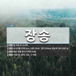 장송 뜻: 잘 자란 큰 소나무., 소나무를 두께 4cm, 너비 25cm, 길이 250cm 정도로 켜서 [국어 사전]