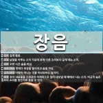 사음 종합 기획 | 장음 뜻: 길게 읊음., 낱말을 이루는 소리 가운데 본래 다른 소리보다 길게 내는 소리., 오랜 시간 [국어 사전]