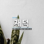 재덕 뜻: 재주와 덕행을 아울러 이르는 말.