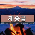 재송금 뜻: 한 번 돈을 보낸 사람에게 다시 돈을 부쳐 보냄. 또는 받은 돈을 다시 부쳐 보냄.