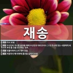재송 뜻: 다시 보냄., 수신인이 주소를 옮겼을 때에 수신인의 대리인이나 그 전 주소에 있는 사람에게 [국어 사전]