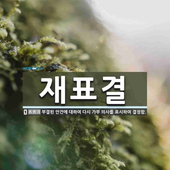 재표결 뜻: 부결된 안건에 대하여 다시 가부 의사를 표시하여 결정함.