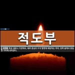 적도부 뜻: 특정 세포나 기관에서, 세로 중심의 수직 평면에 해당하는 부위. 양쪽 끝에서 동일한 거리에