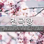 전곡항 뜻