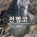 전병코 뜻: 몹시 넓적하게 생긴 코를 놀림조로 이르는 말.