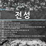 전성 뜻: 한 성안의 전부., 형세나 세력 따위가 한창 왕성함., 황종(黃鍾), 대려(大呂) 따위의 [국어 사전] 전성 뜻: 한 성안의 전부.... 