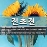 전초전 뜻: 전초선에서 벌이는 작은 규모의 전투., 본격적인 전투를 벌이기 전에 하는 작은 규모의 전투 [국어 사전]