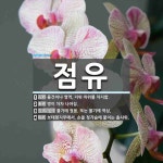 점유 뜻: 물건이나 영역, 지위 따위를 차지함., 병이 차차 나아짐., 물기에 젖음. 또는 물기에 적 [국어 사전]