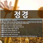 정경 뜻: 올바른 길. 또는 정당한 도리., 조선 시대에, 정이품 이상의 벼슬을 아경(亞卿)에 상대하 [국어 사전]
