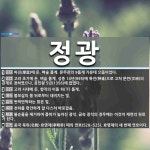 정광 뜻: 마진(摩震)에 둔, 벼슬 품계. 문무관의 9품계 가운데 으뜸이었다., 고려 초기에 둔, 벼 [국어 사전]
