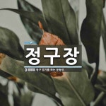 정구장 뜻: 정구 경기를 하는 운동장.