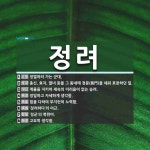 정려 뜻: 정벌하러 가는 군대., 충신, 효자, 열녀 등을 그 동네에 정문(旌門)을 세워 표창하던 일 [국어 사전]