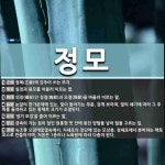 정모 뜻: 정복(正服)에 갖추어 쓰는 모자., 심정과 용모를 아울러 이르는 말., 의장(儀杖)인 정절 [국어 사전]