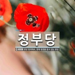 정부당 뜻: 정당 정치에서, 현재 정권을 잡고 있는 정당.