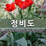 정비도 뜻: 규정된 절차에 따라 정비를 실시할 경우, 지정된 기간 내에 어떤 체계가 요구하는 상태로 복