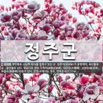 정주군 뜻: 평안북도 서남쪽 바다를 접하고 있는 군. 정주미(定州米)가 유명하며, 축산물과 금ㆍ광산물이