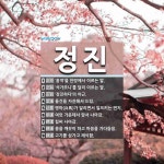 정진 뜻
