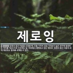 제로잉 뜻: 덤핑의 중간 이윤을 산정할 때, 수출 가격이 정상 가격보다 높은 경우에 발생하는 적자를 ‘