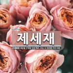 제세재 뜻: 세상을 구제할 만한 재주. 또는 그 재주를 가진 사람.