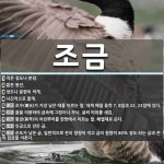 조금 뜻: 적은 정도나 분량., 짧은 동안., 정도나 분량이 적게., 시간적으로 짧게., 조수(潮水) [국어 사전]