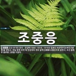 조중응 뜻