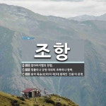 조항 뜻: 할아버지뻘의 항렬., 법률이나 규정 따위의 조목이나 항목., 중국 북송(北宋)의 제3대 황 [국어 사전]