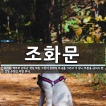 조화문 뜻: 백토로 입혀진 잿빛 바탕 그릇의 겉면에 무늬를 그리고 그 무늬 부분을 긁어서 만든 잿빛 수