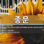 종문 뜻