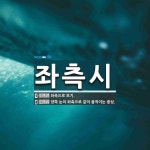 좌측시 뜻: 좌측으로 보기., 양쪽 눈이 좌측으로 같이 움직이는 증상. [국어 사전]